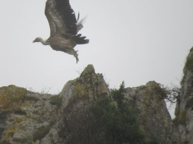 Ascension al Txindoki