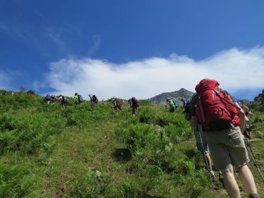 La ruta de Camille