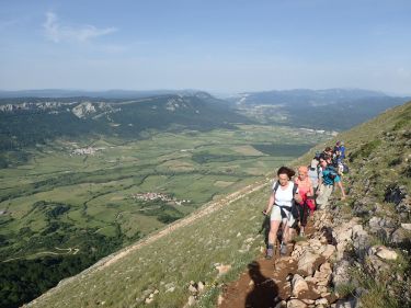 San Donato