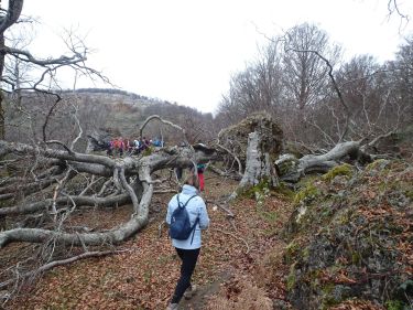 Travesía Entzia - Urbasa (Navarra)