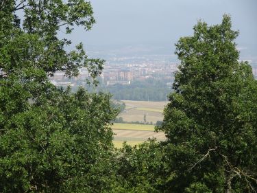 Arcayate - Montes de Mendiola - Arcayate (Araba/Álava) km 0 - Tuvisa línea 6