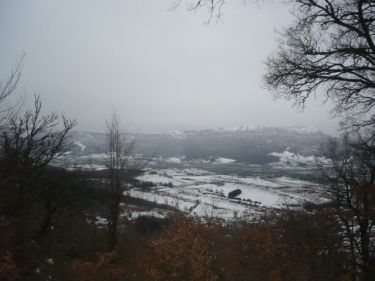Egino-Zalduondo