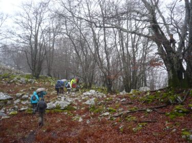 Arraba - Parketxe (Gorbea)