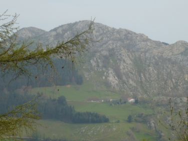 Monte Erlo (Gipuzkoa)
