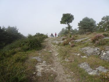 Pto.Orduña - Villalba de Losa
