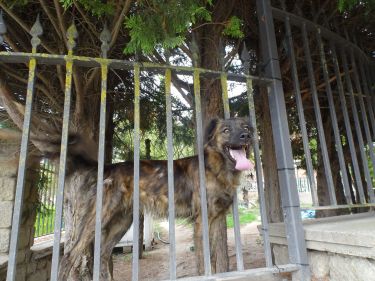 Berantevilla - Armiñón (GR1, Araba/Álava)