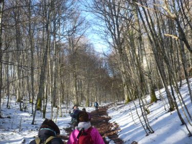 Lagrán - Cuevas de Laño - Albaina