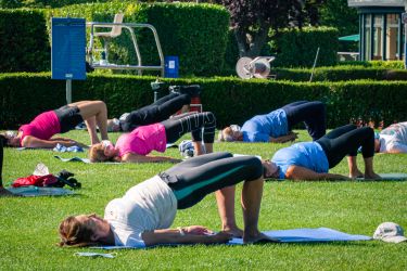 Yoga, aire zabalean
