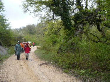 Barrancos de Contrasta (Valle de Arana)