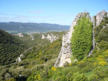 Portilla-Berganzo