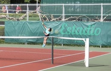 Tenis